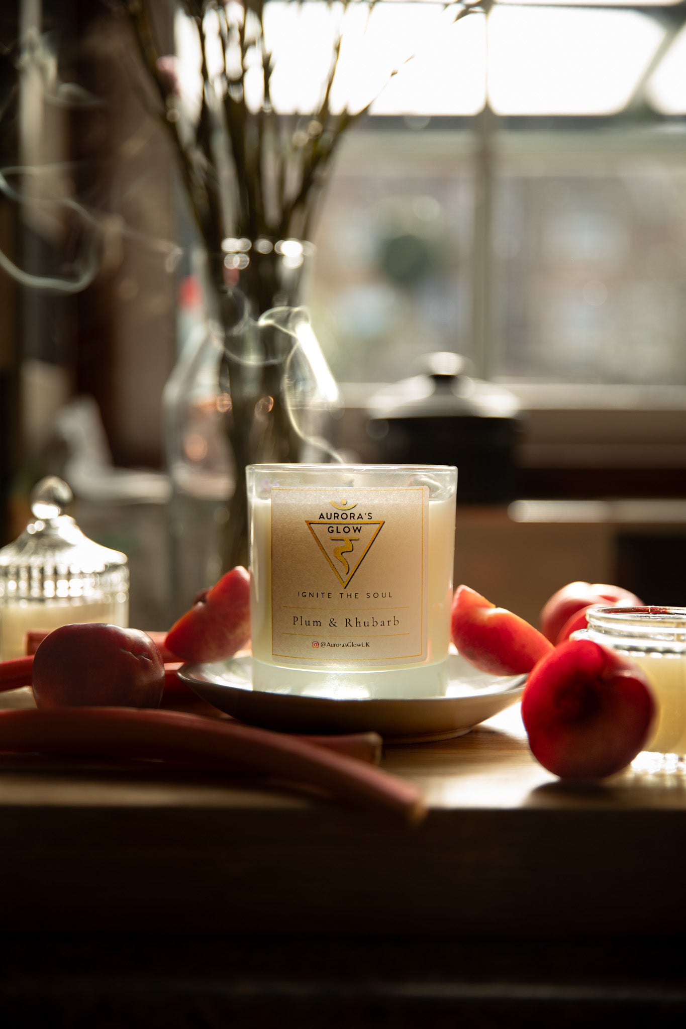 Best Plum Rhubarb